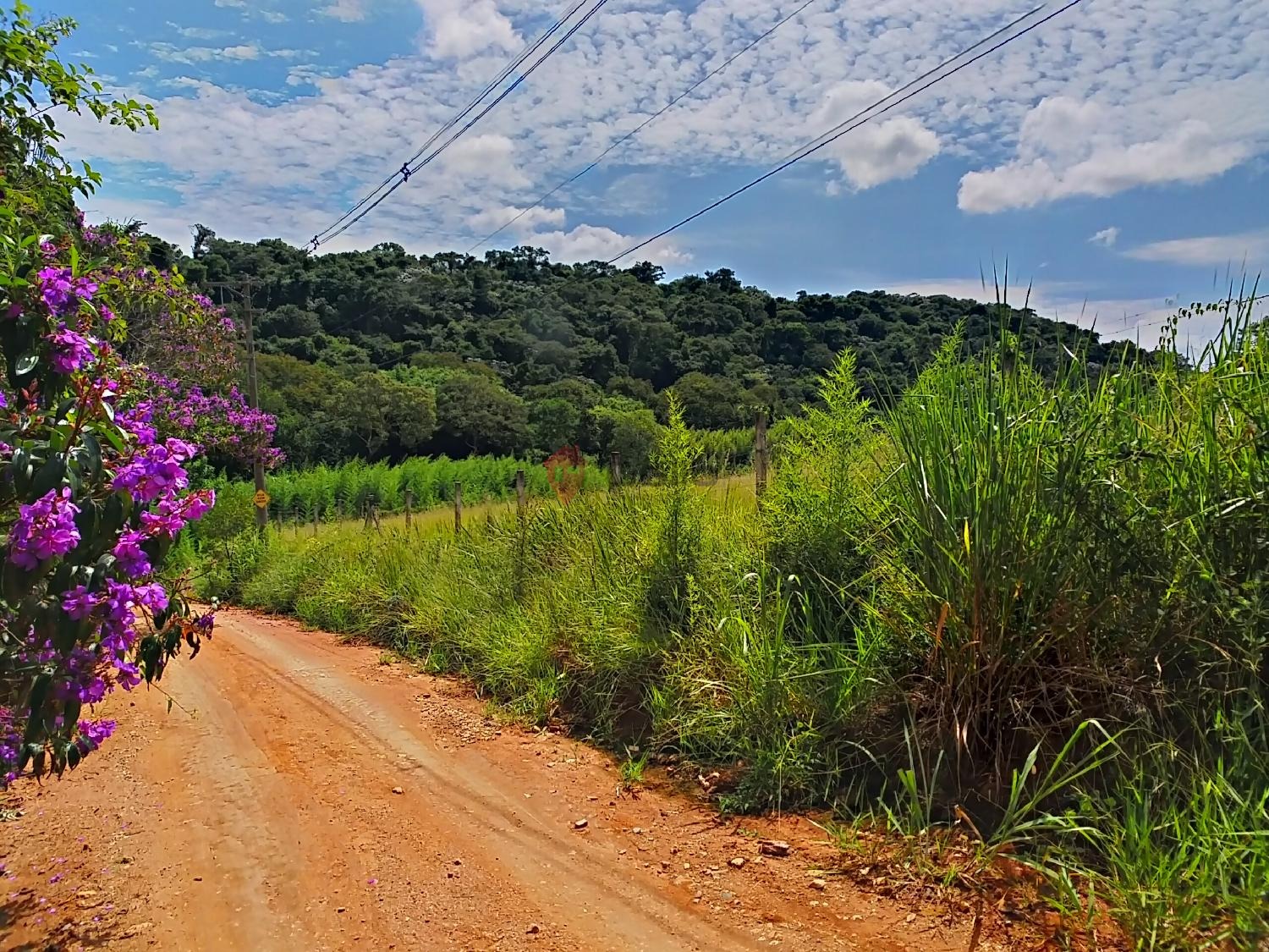 terreno à venda no Caixa D´Água: imagens_723341.jpg