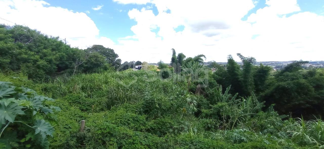 terreno à venda no Mirante das Estrelas: 