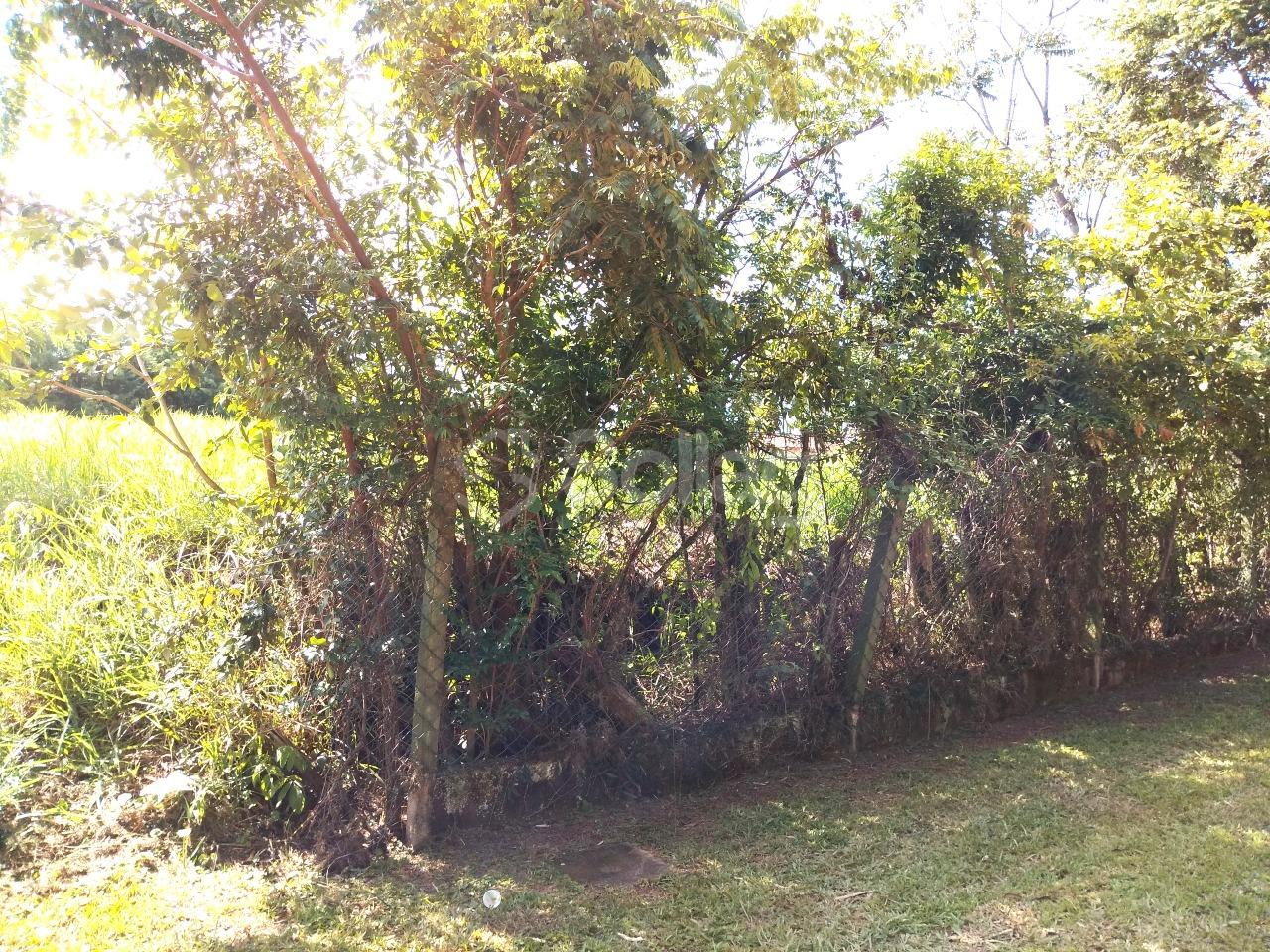 Terreno em condomínio à venda no Condomínio Vista Alegre - Café: 