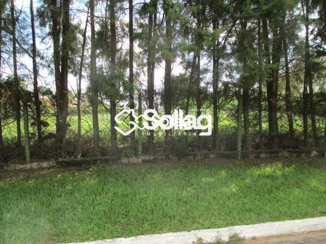 Terreno em condomínio à venda no Condomínio Vista Alegre - Café: imagens_3503F1E8545589C5237F35EF21ADCAA55F9D6F5FAE65863.JPG