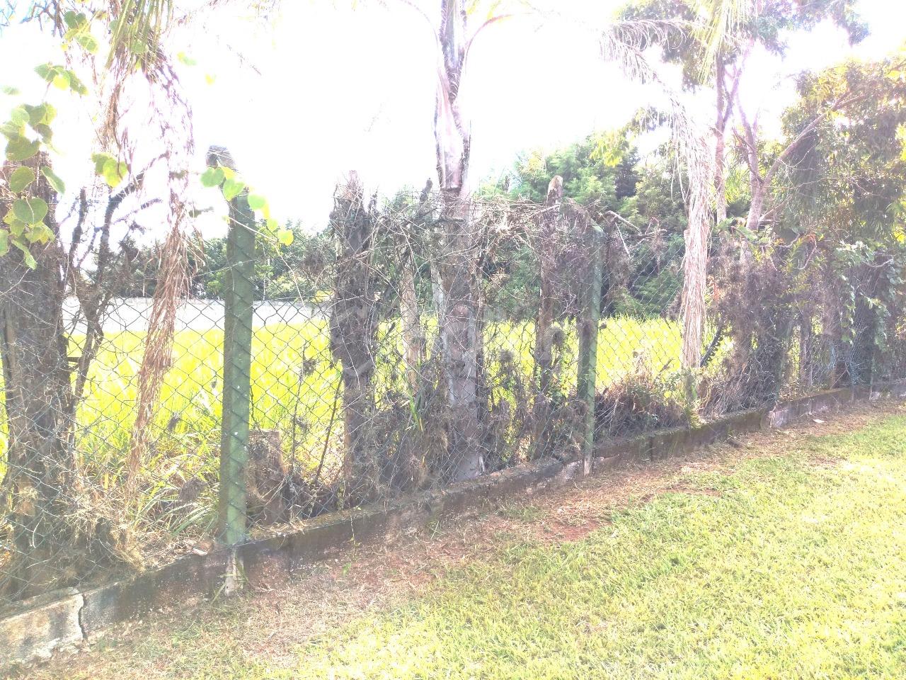 Terreno em condomínio à venda no Condomínio Vista Alegre - Café: 