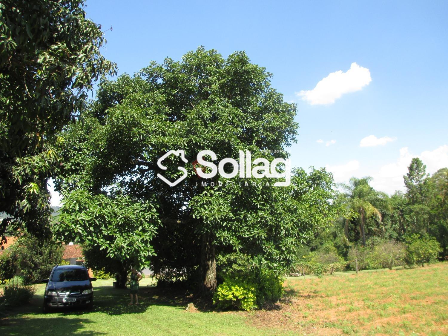 terreno à venda no Pinheirinho: imagens_865482.jpg