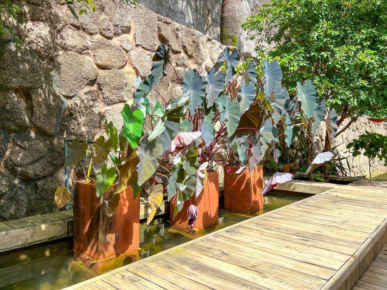 Casa em condomínio à venda no Condomínio São Joaquim: 
