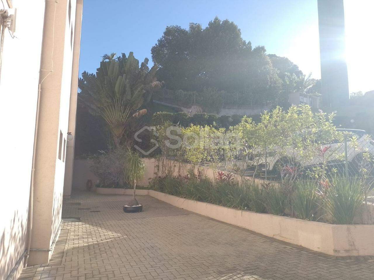 Apartamento para aluguel no Pinheirinho: