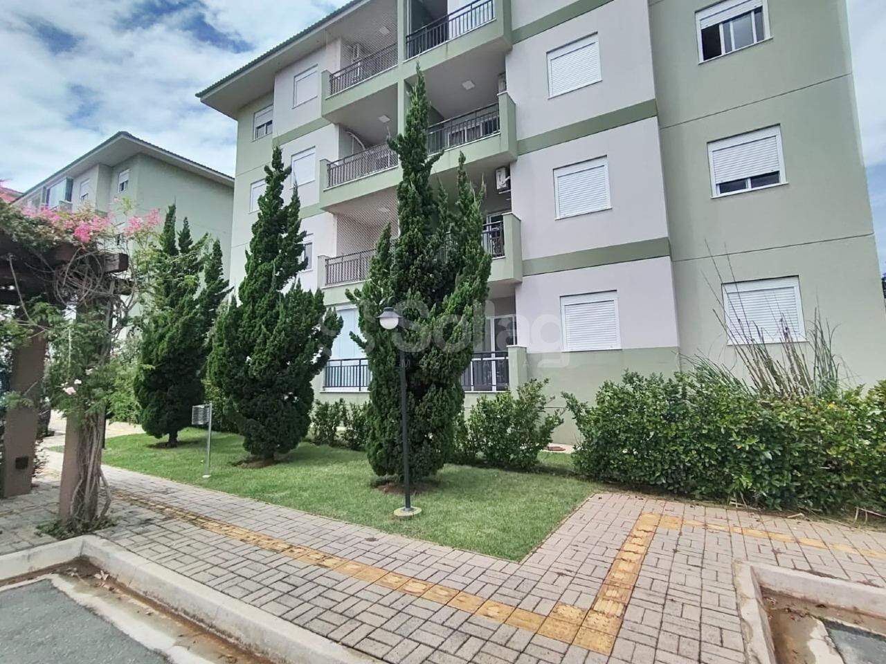 Apartamento para aluguel no Altos do Morumbi: 