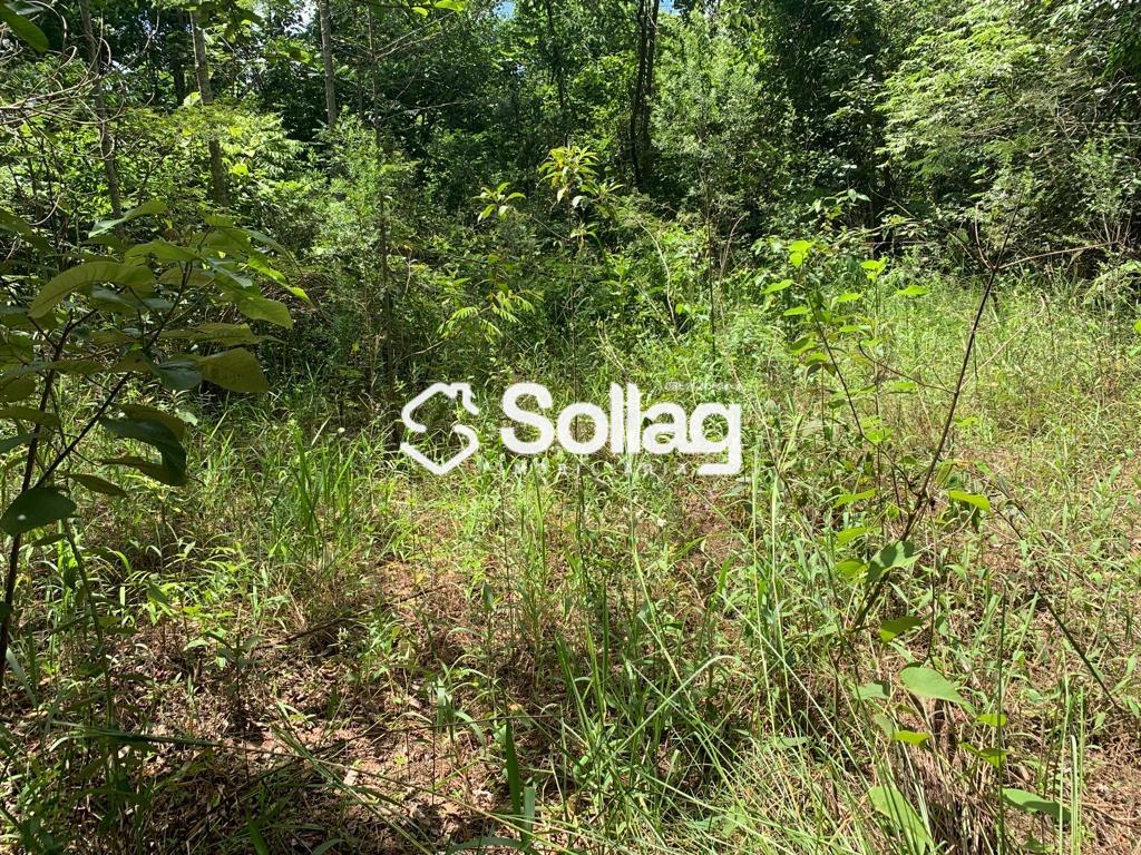 terreno à venda no Bairro Vista Alegre: 