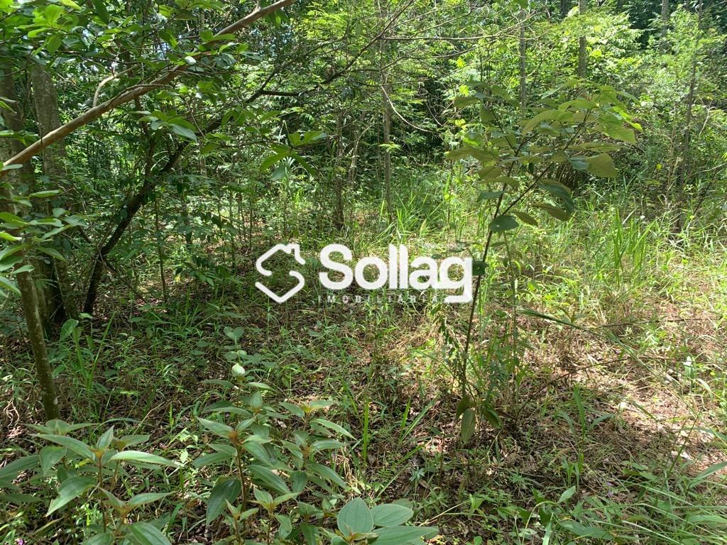 terreno à venda no Bairro Vista Alegre: 