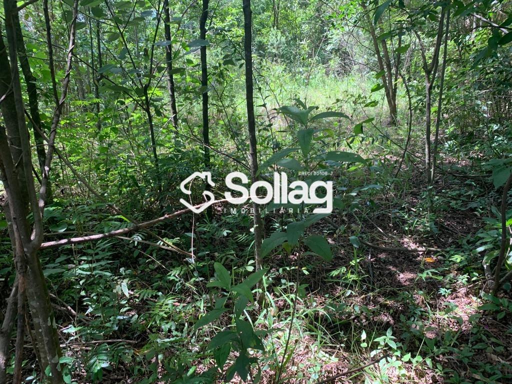 terreno à venda no Bairro Vista Alegre: 