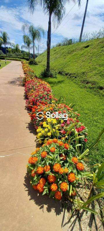 Terreno em condomínio à venda no Condomínio Reserva Santa Monica: 