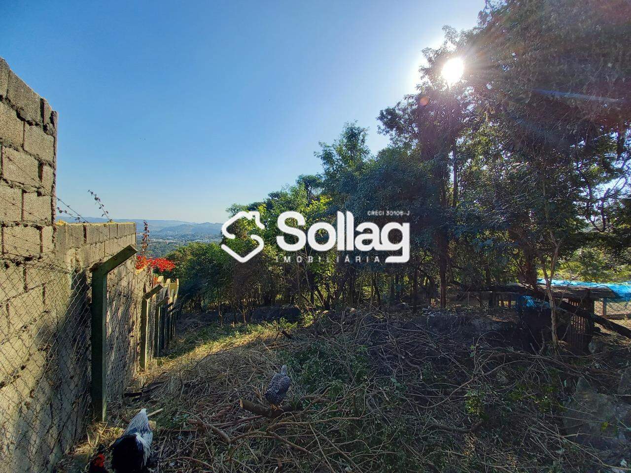 terreno à venda no Pinheirinho: 