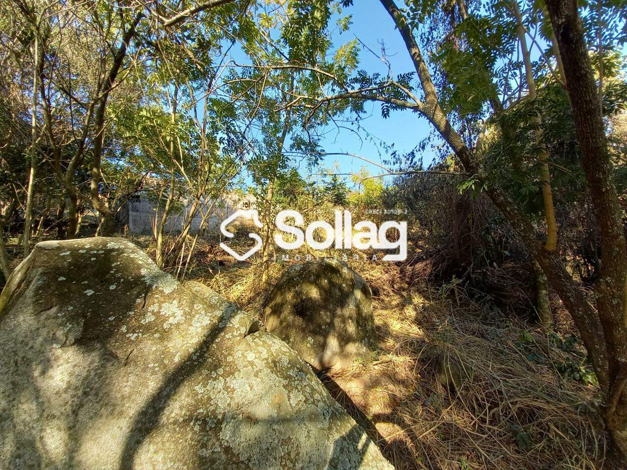 terreno à venda no Pinheirinho: 