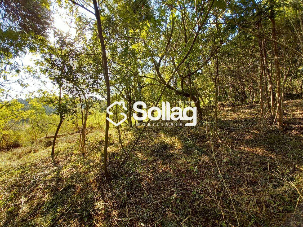 terreno à venda no Pinheirinho: 