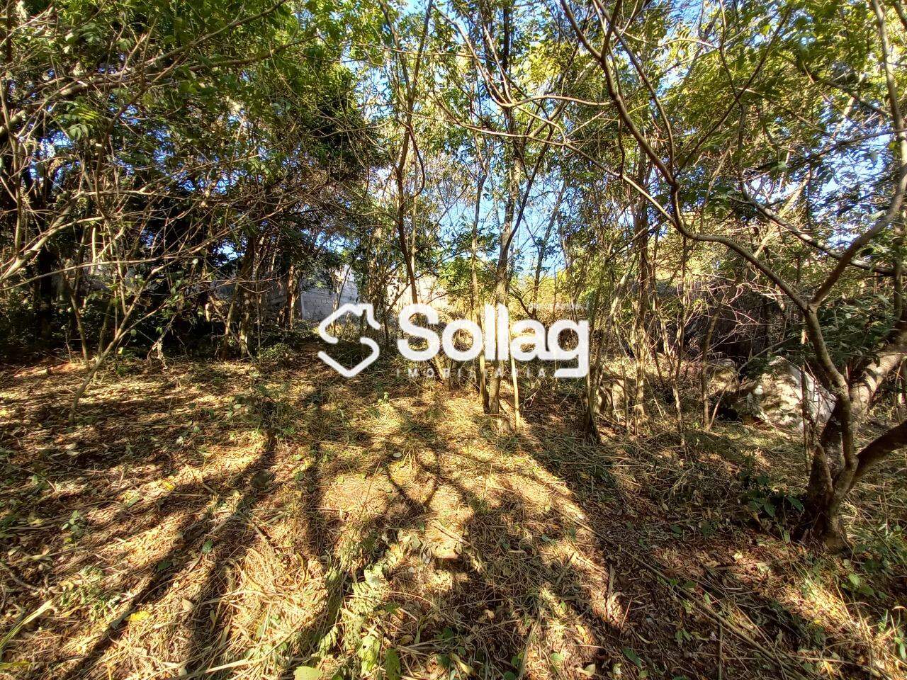 terreno à venda no Pinheirinho: 