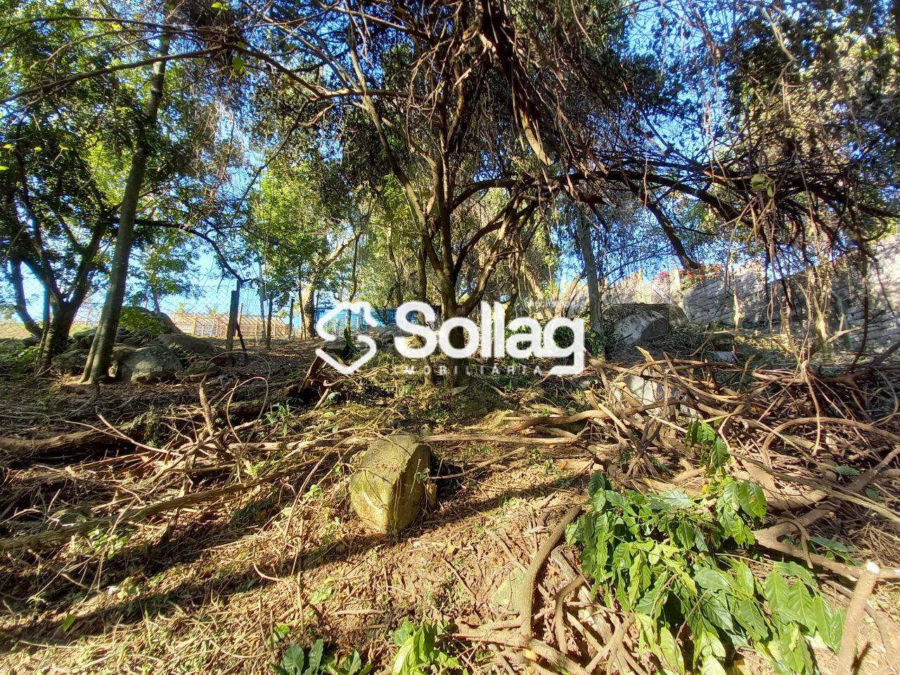 terreno à venda no Pinheirinho: 