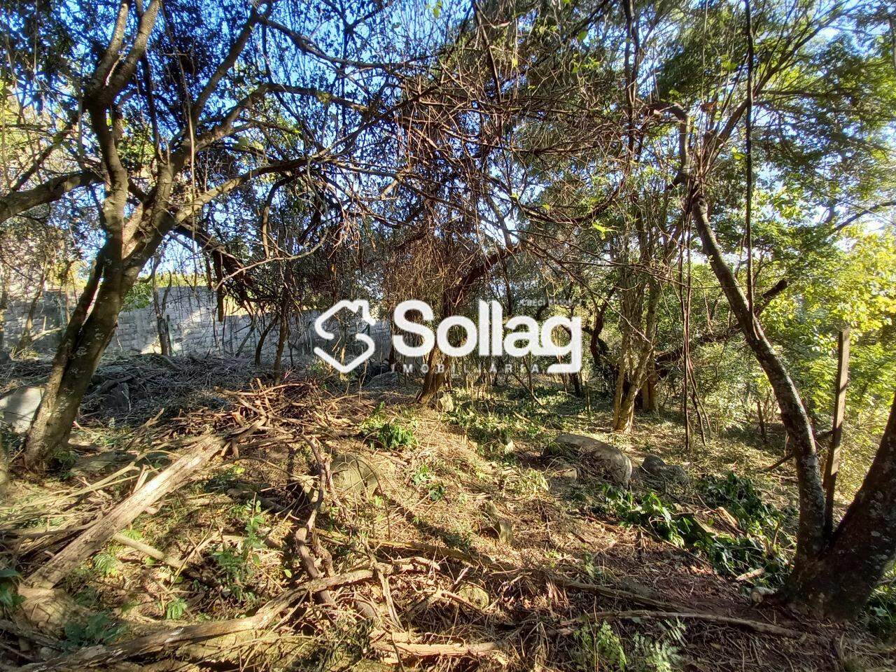 terreno à venda no Pinheirinho: 