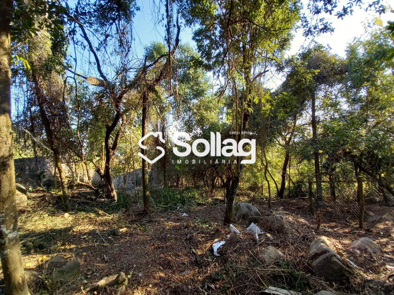 terreno à venda no Pinheirinho: 