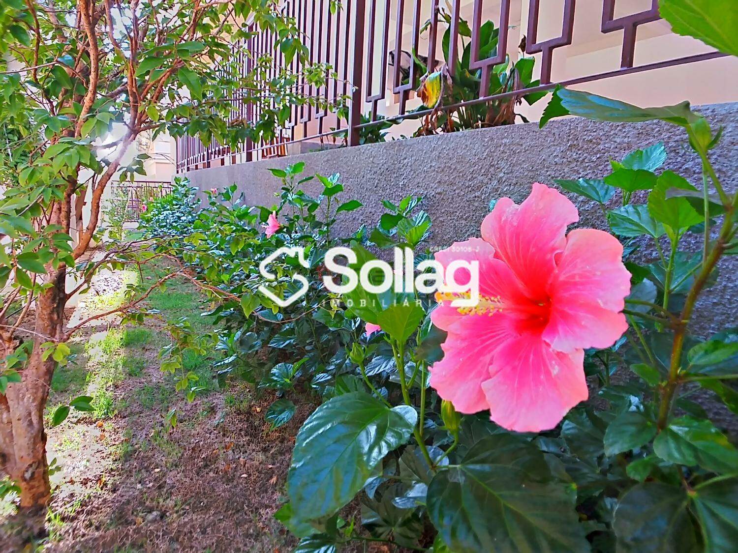 Apartamento à venda no Pinheirinho: imagens_291084.jpg