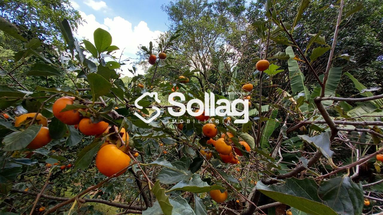 Casa em condomínio à venda no Condomínio Vale da Santa Fé: 