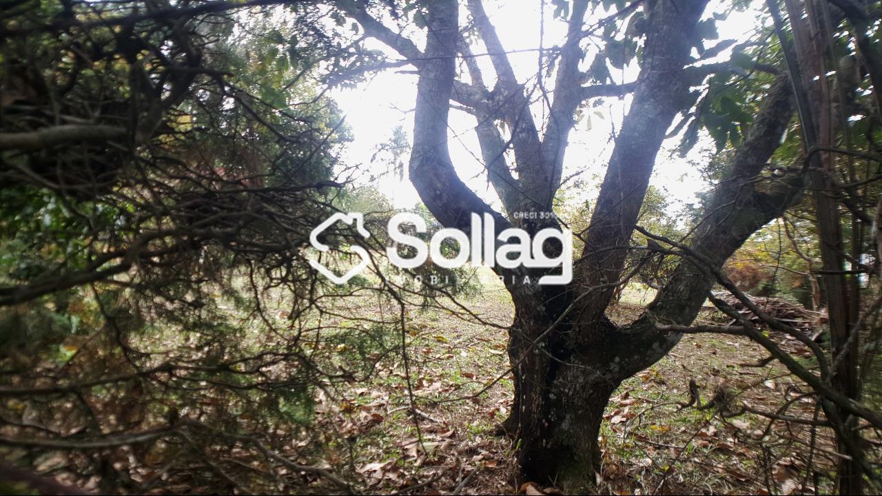 terreno à venda no Residencial Recanto dos Canjaranas: 