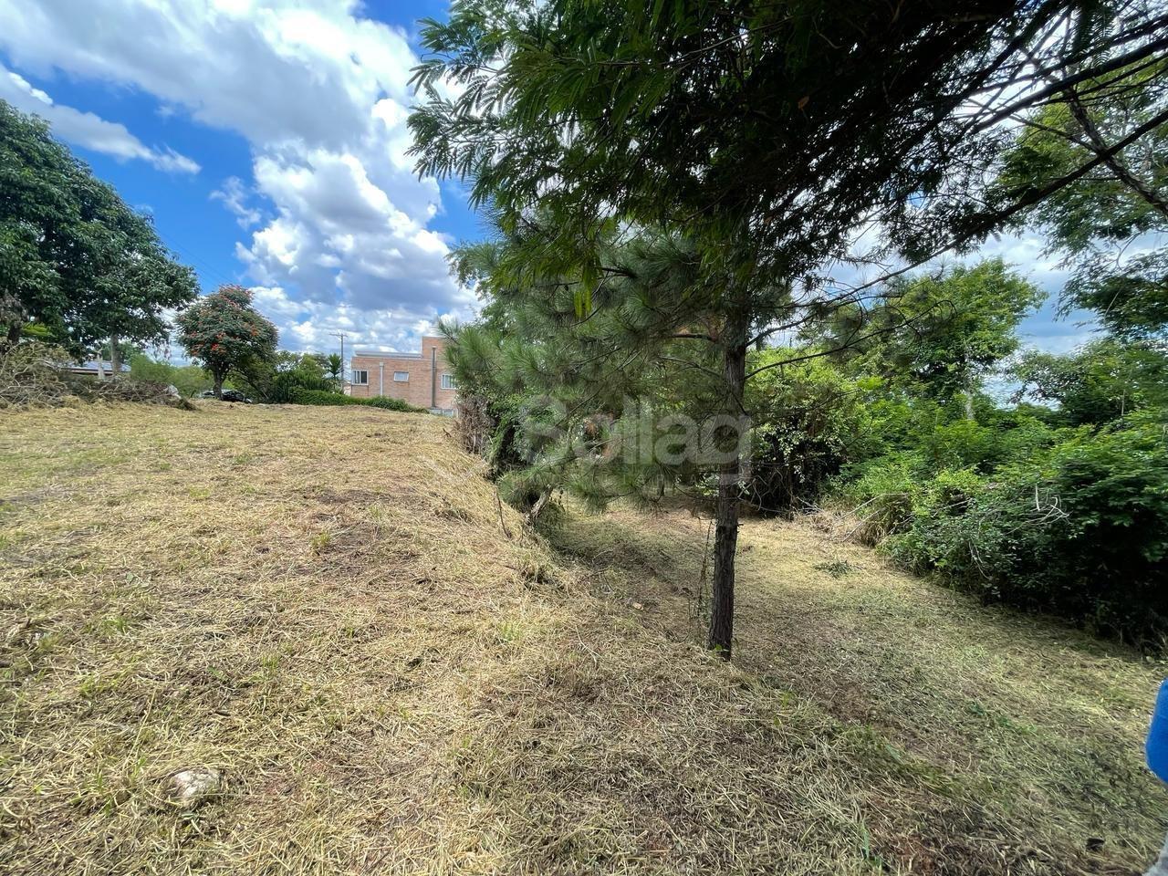 Terreno em condomínio à venda no Condomínio Bosque das Araras: 