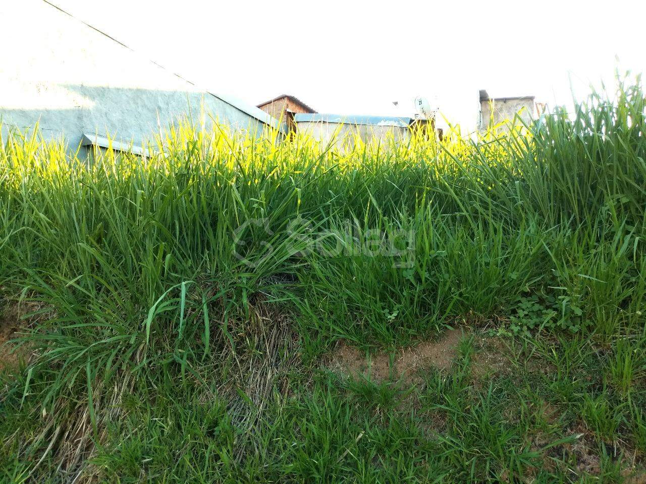 terreno à venda no Santa Claudina: