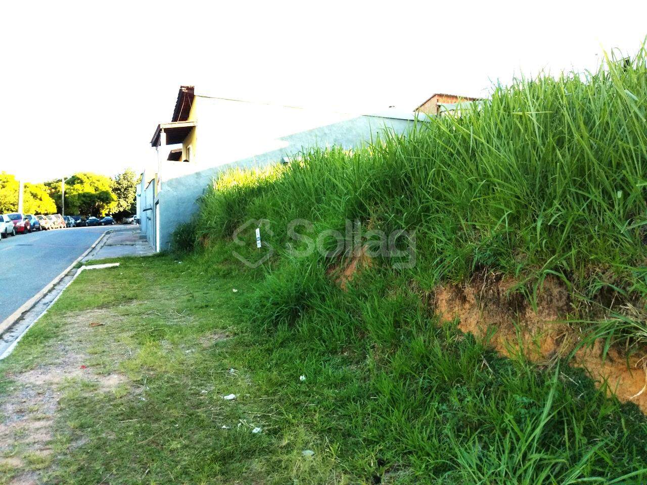 terreno à venda no Santa Claudina: 