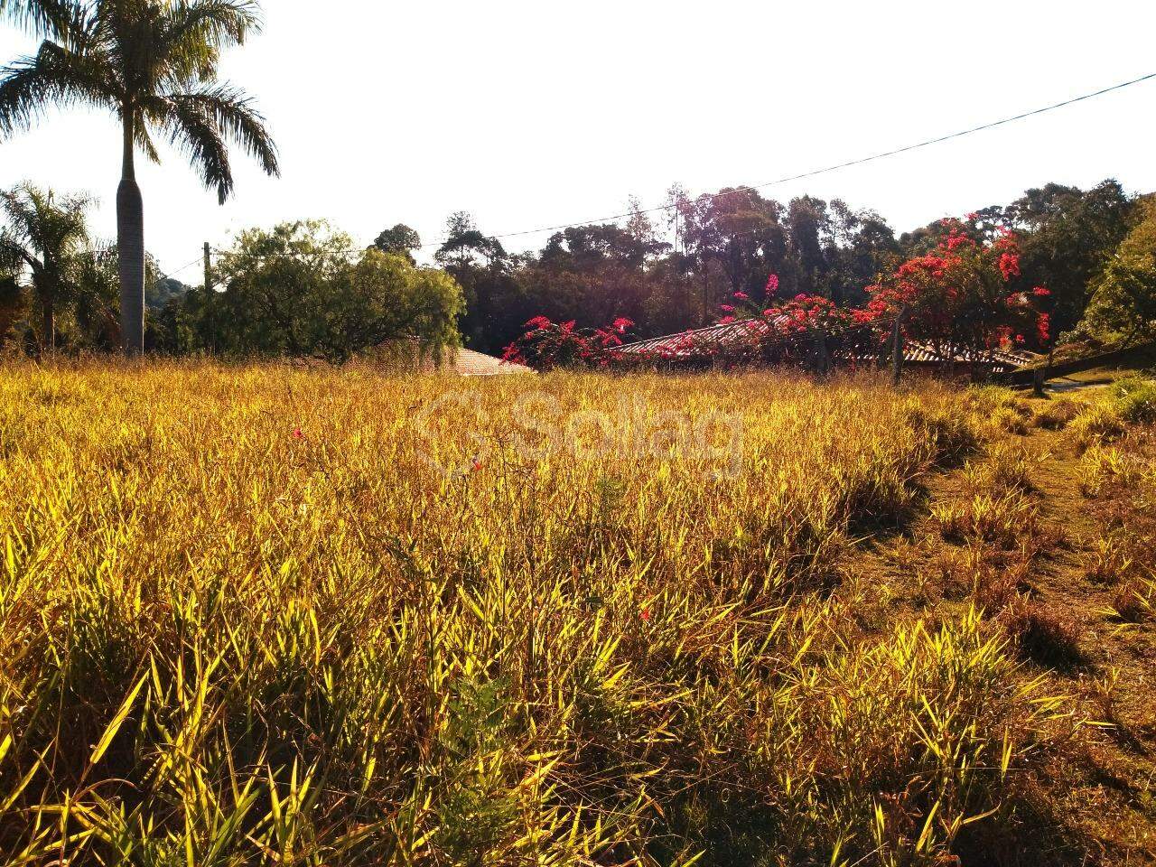 terreno à venda no Vista Alegre: 
