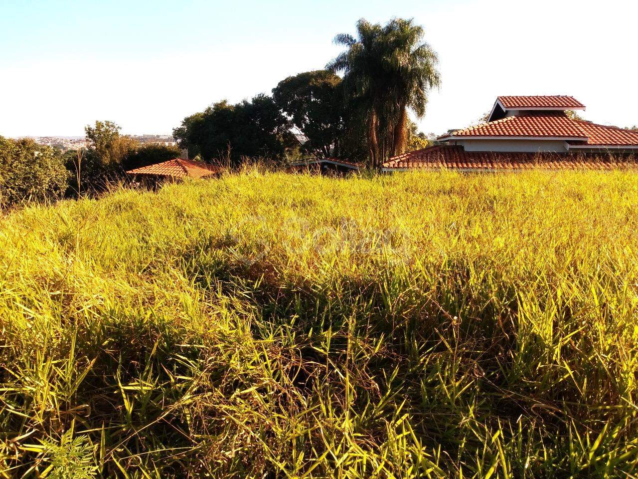 terreno à venda no Vista Alegre: 