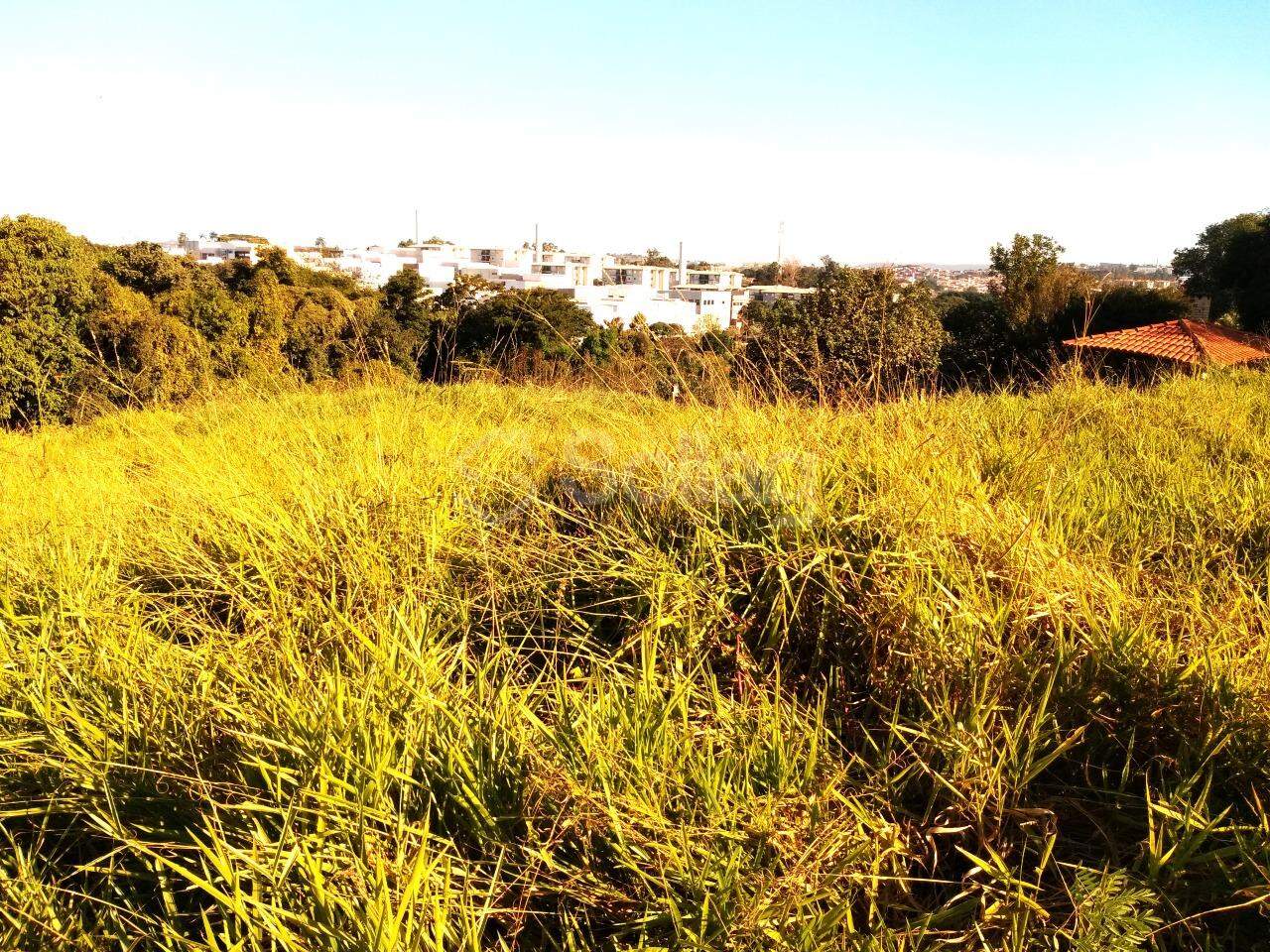 terreno à venda no Vista Alegre: 
