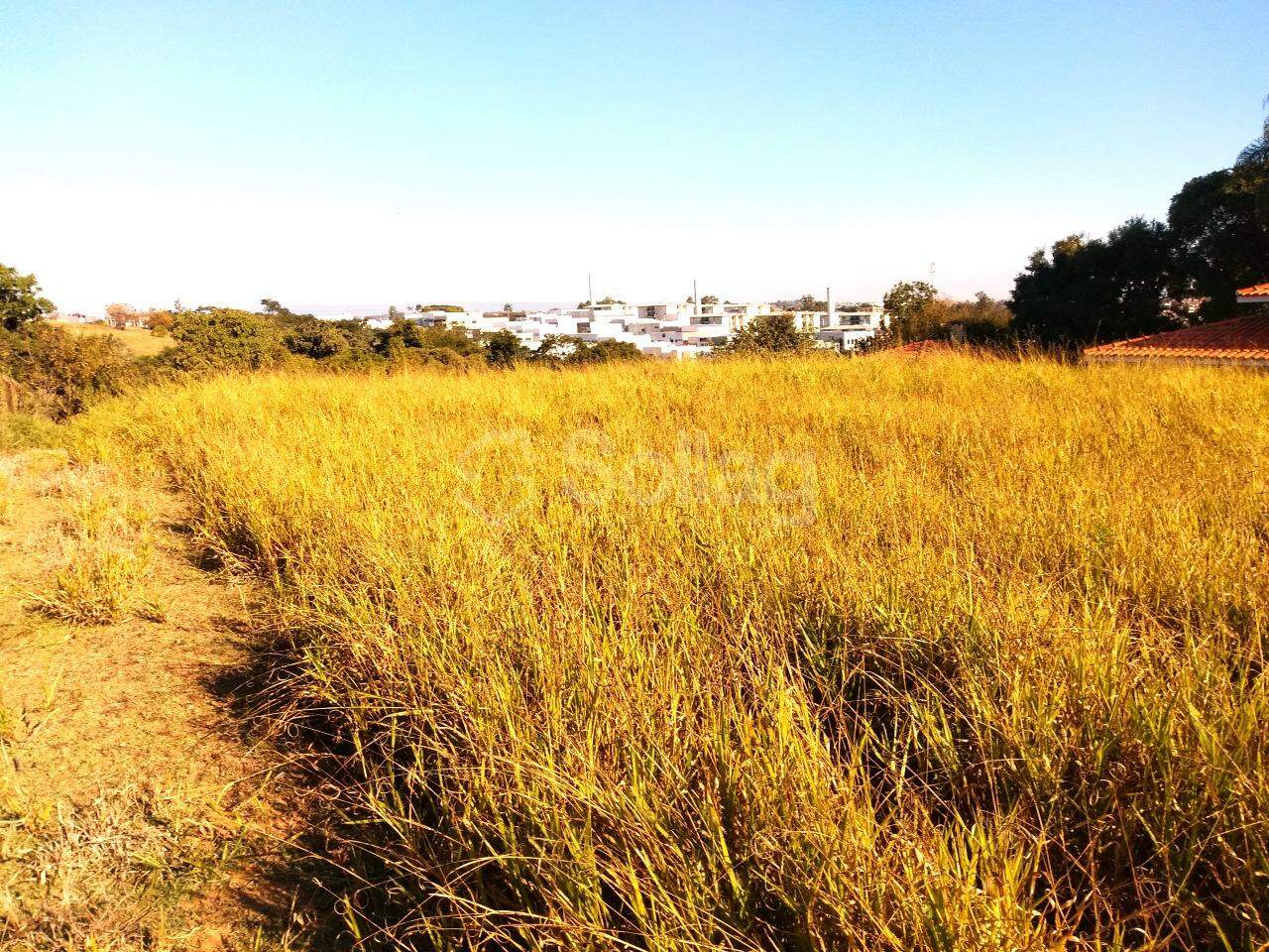 terreno à venda no Vista Alegre: 