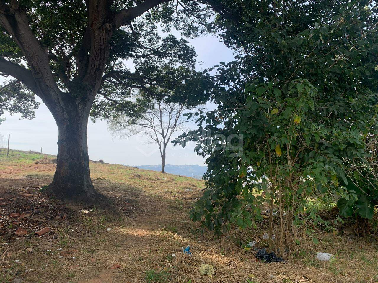 terreno à venda no Capela: