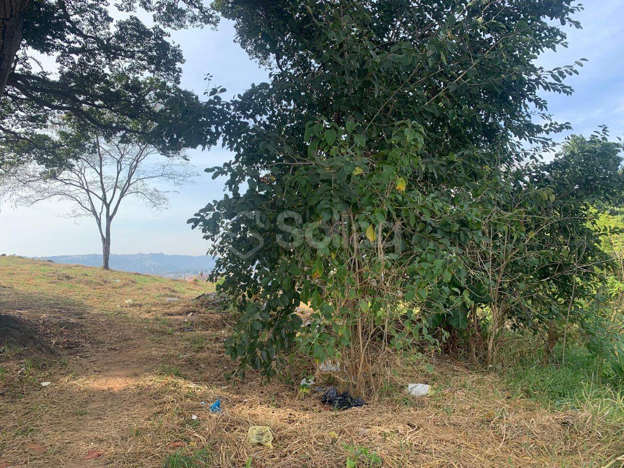 terreno à venda no Capela: