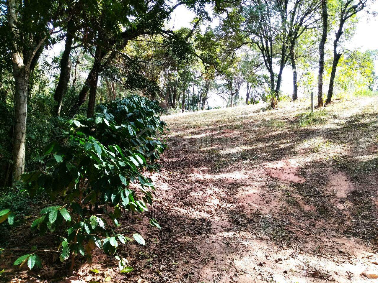 terreno à venda no Vista Alegre: 