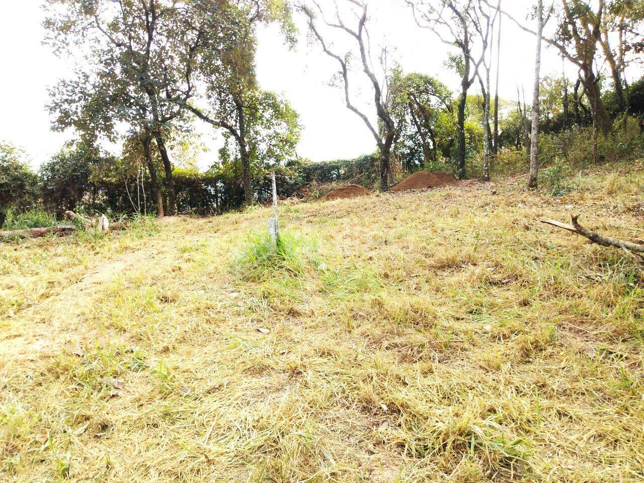 terreno à venda no Vista Alegre: 