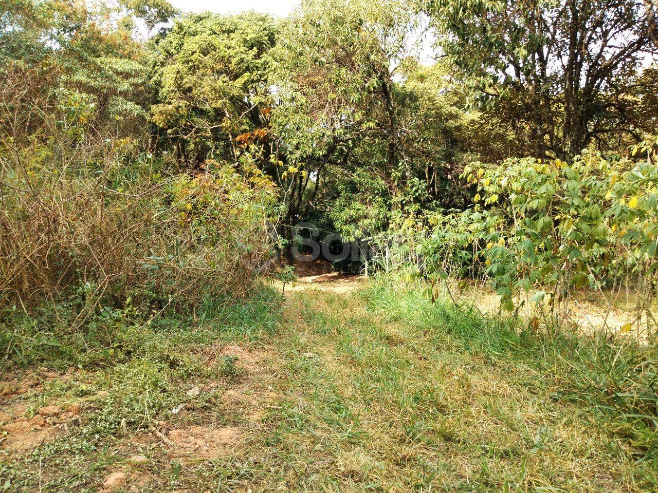 terreno à venda no Vista Alegre: 