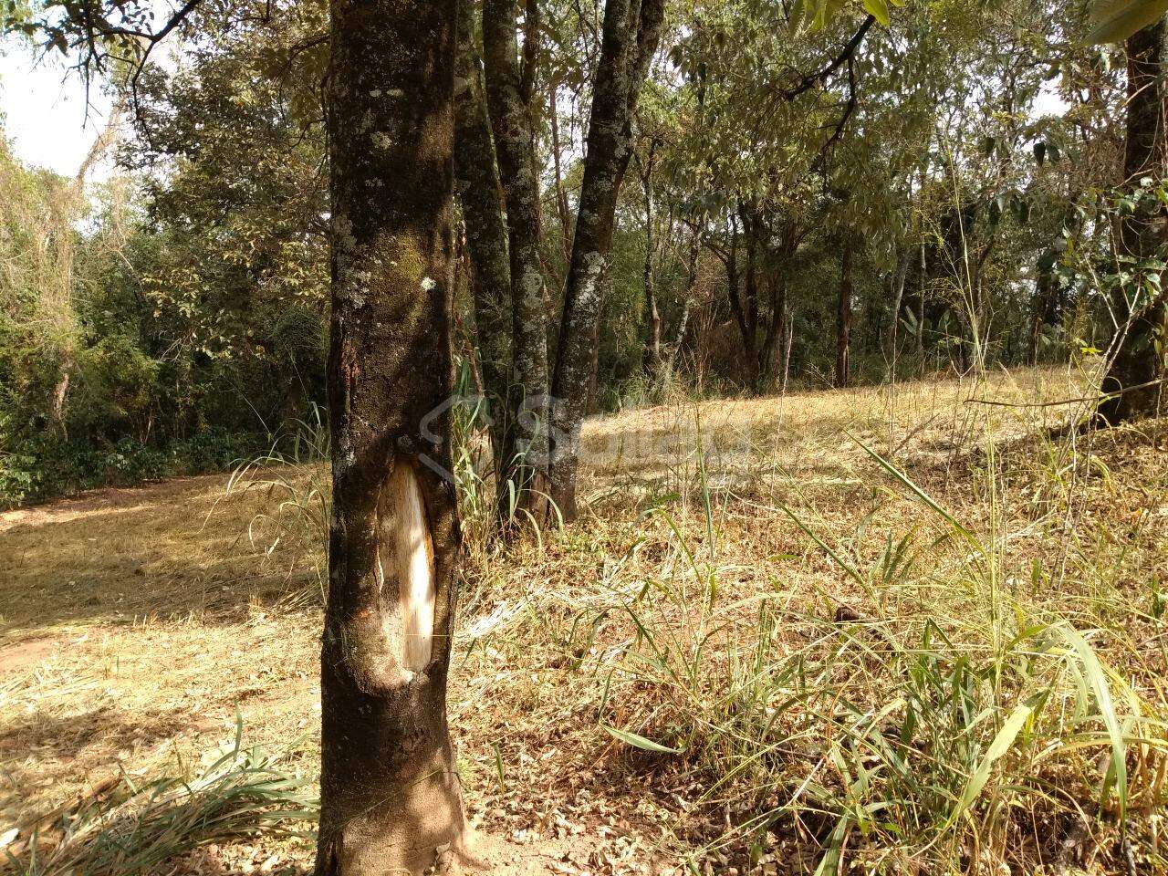 terreno à venda no Vista Alegre: 
