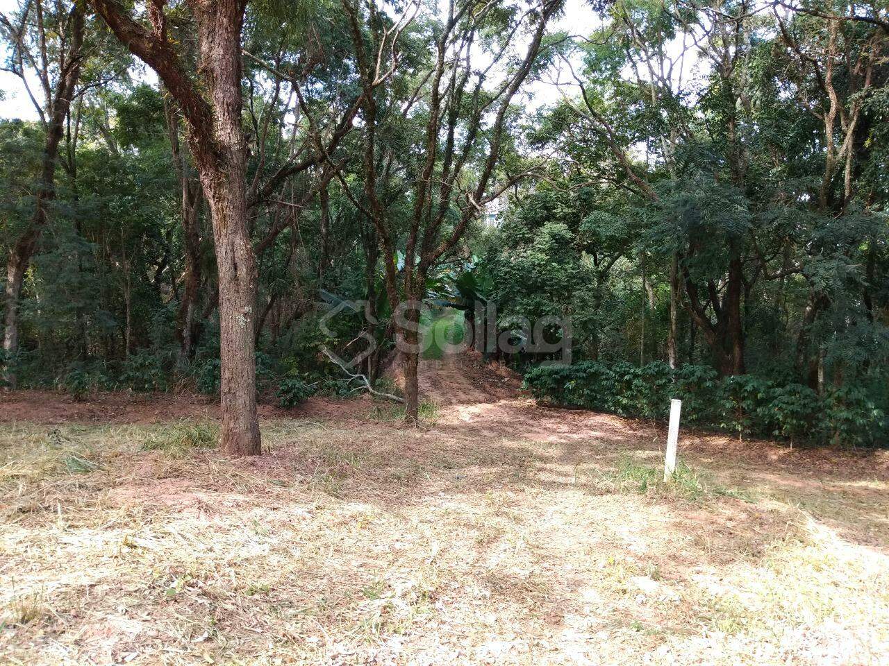 terreno à venda no Vista Alegre: 