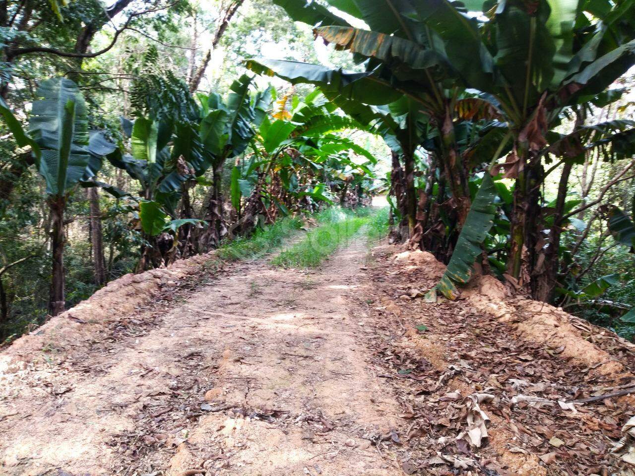 terreno à venda no Vista Alegre: 