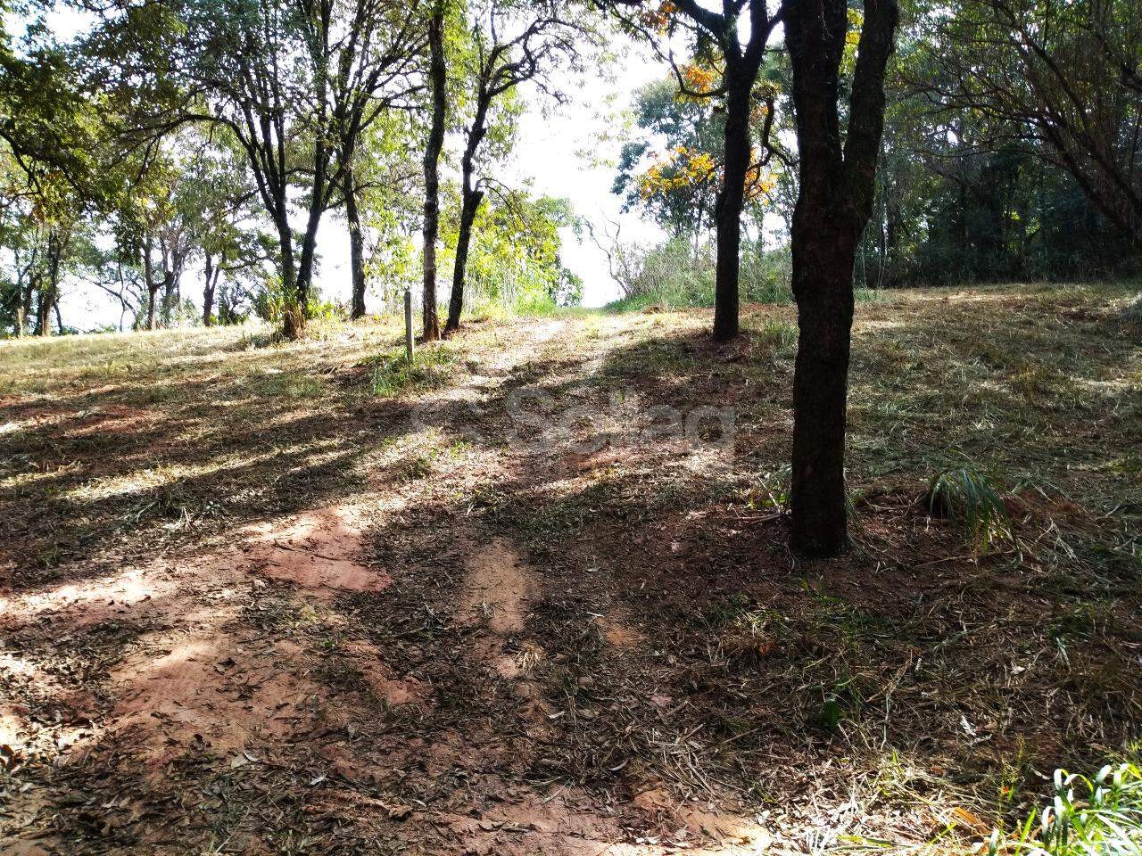 terreno à venda no Vista Alegre: 
