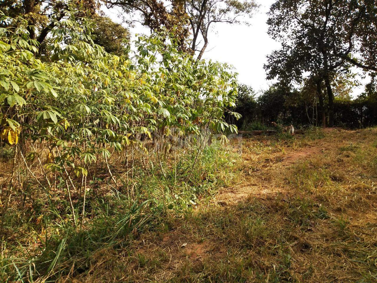 terreno à venda no Vista Alegre: 