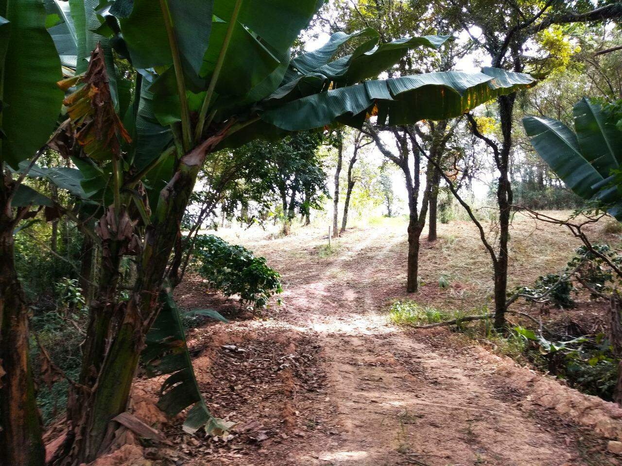 terreno à venda no Vista Alegre: 