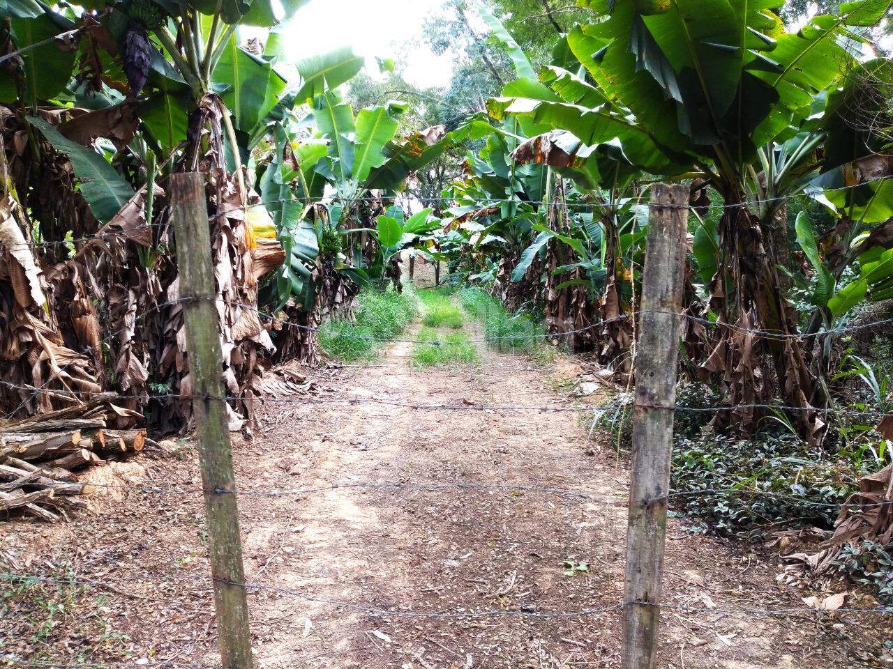 terreno à venda no Vista Alegre: 