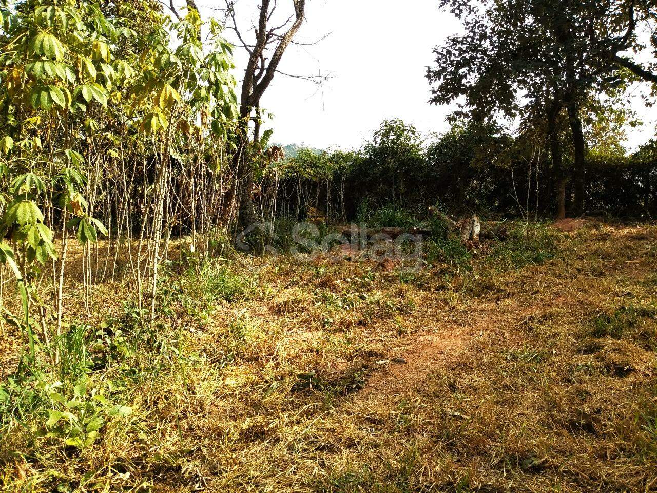 terreno à venda no Vista Alegre: 