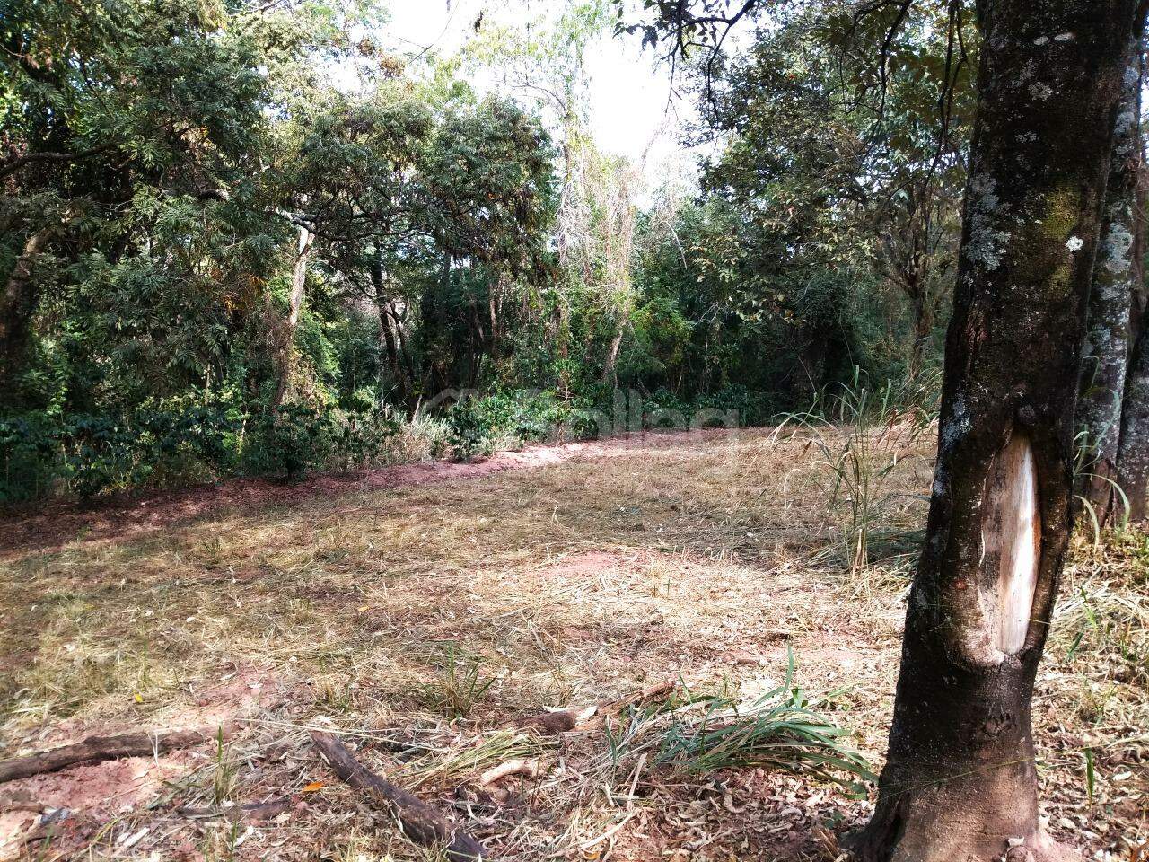 terreno à venda no Vista Alegre: 