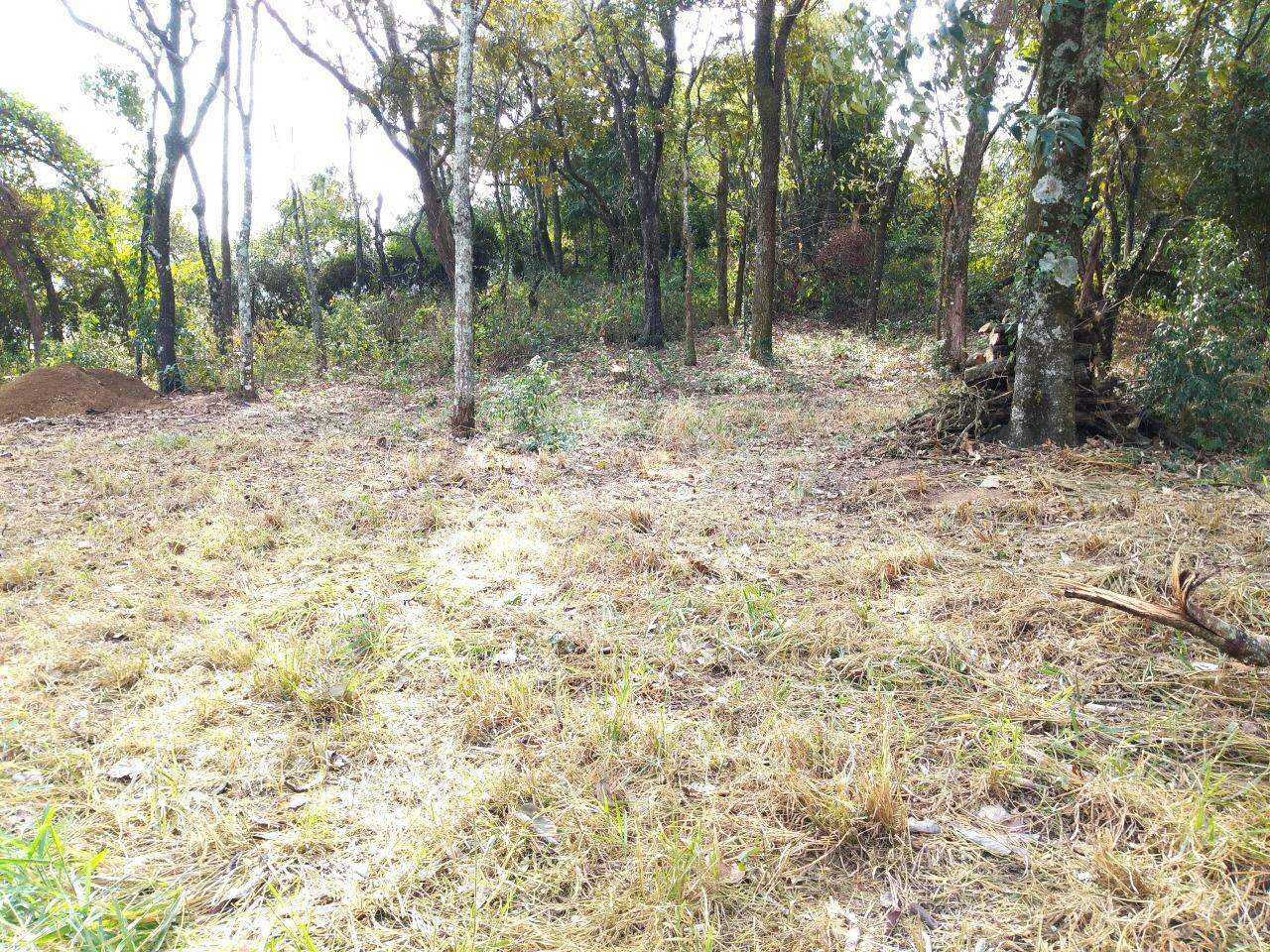 terreno à venda no Vista Alegre: 