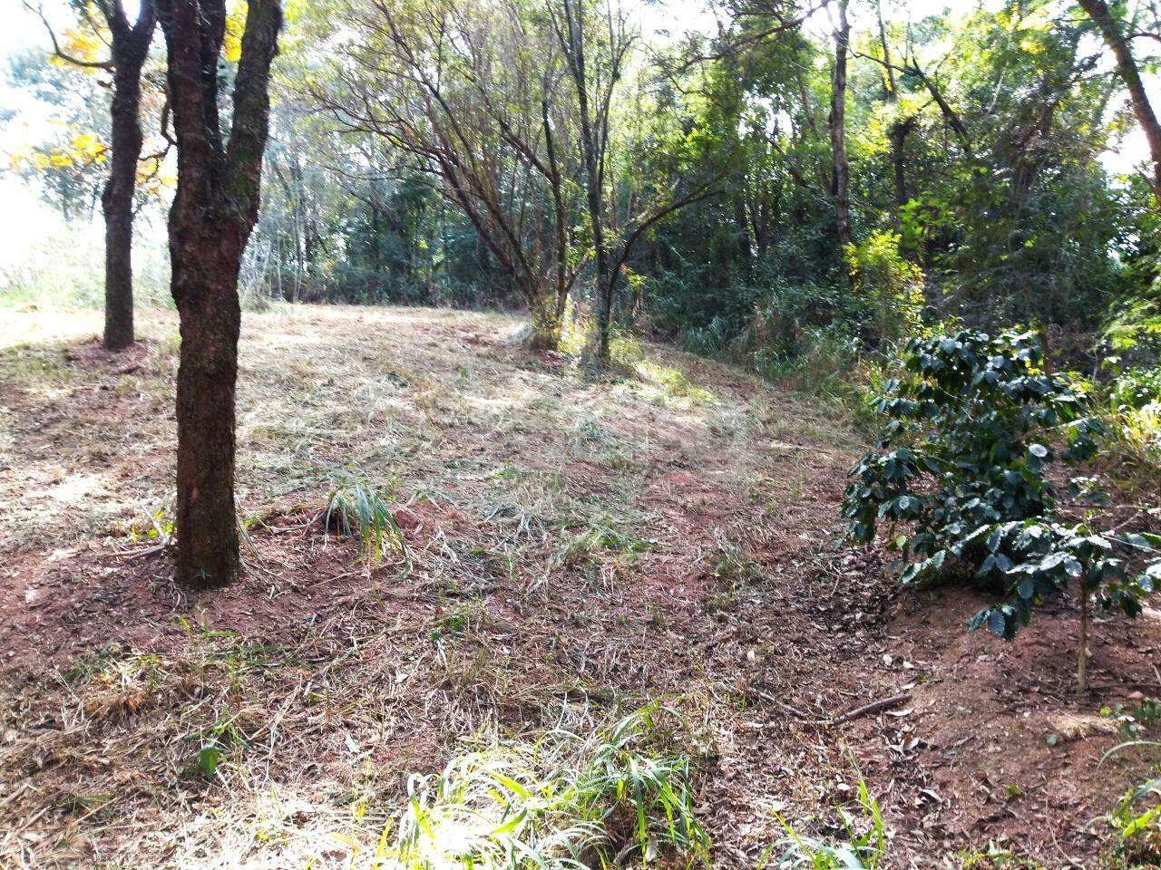 terreno à venda no Vista Alegre: 