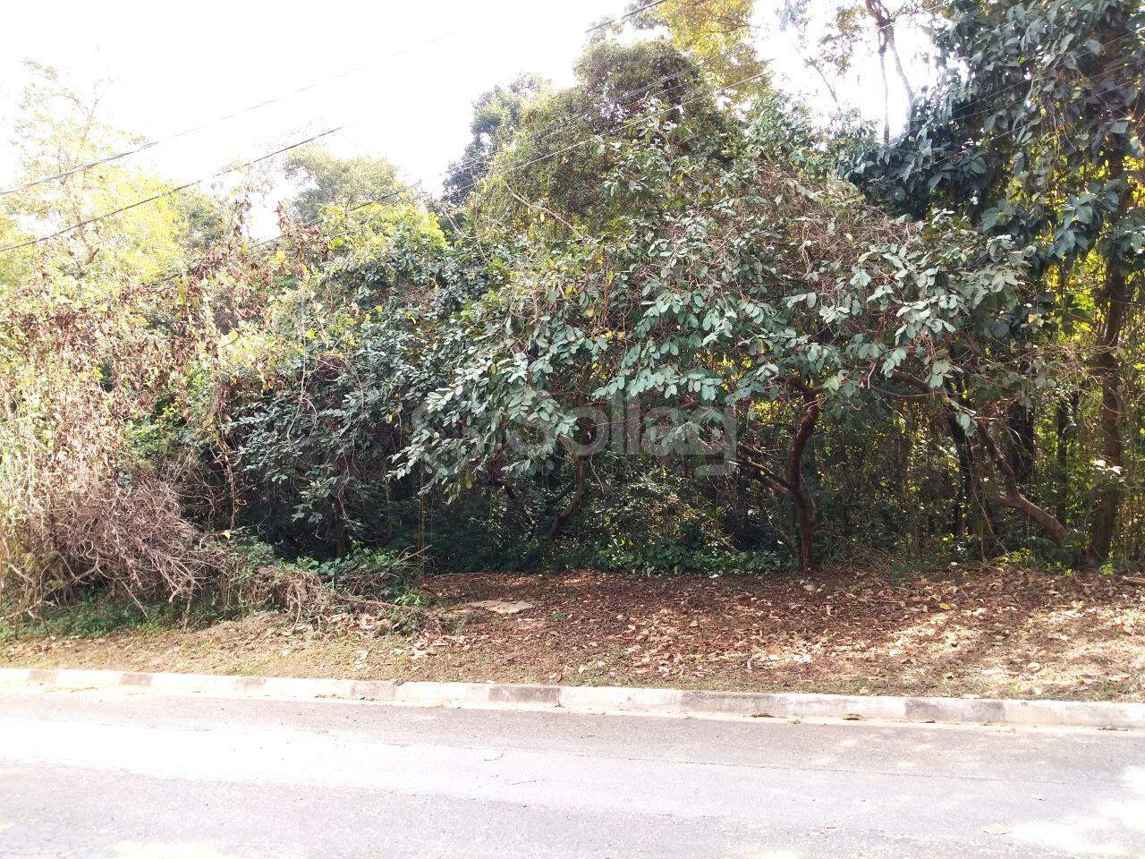 terreno à venda no Vista Alegre: 