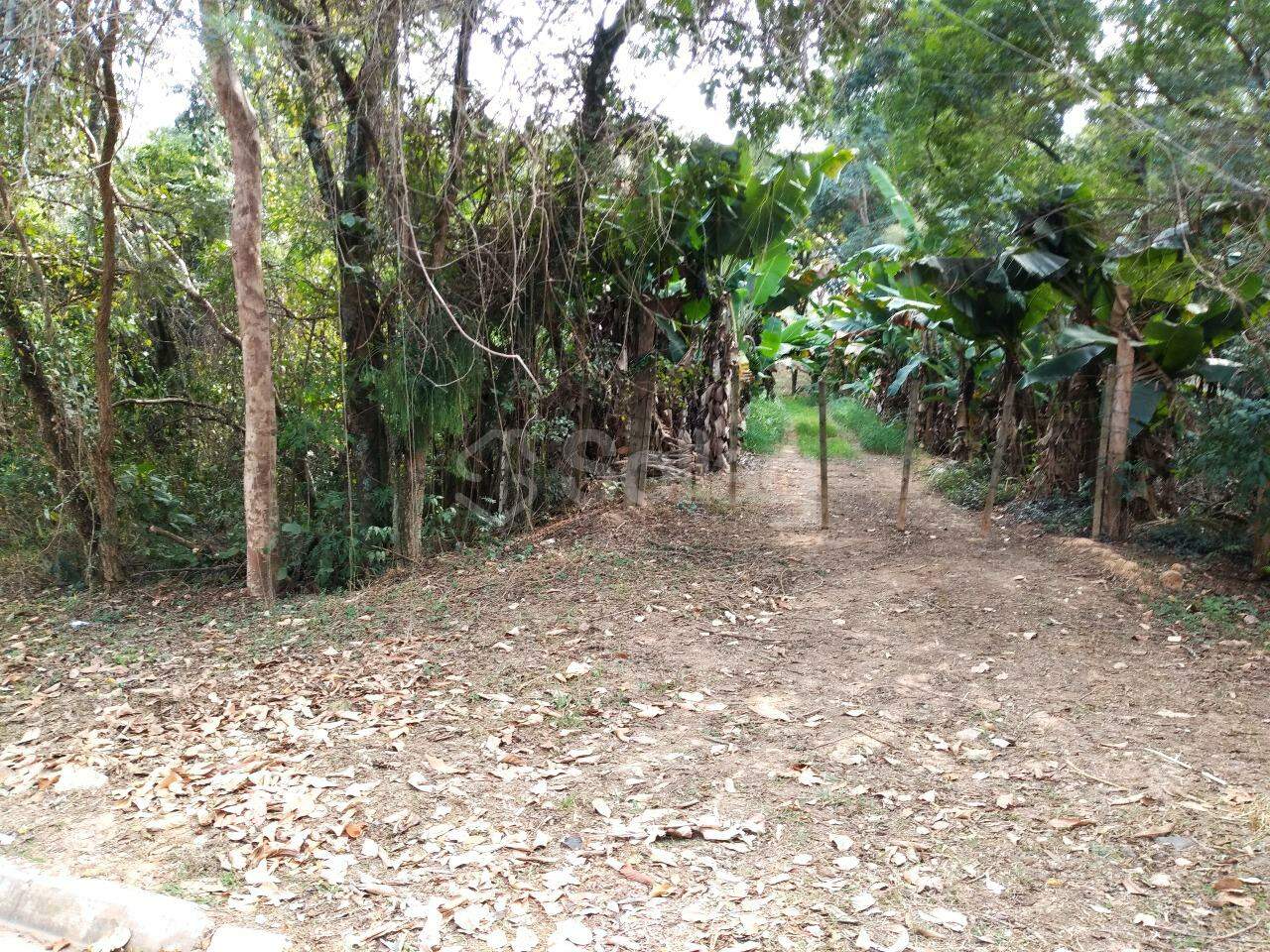 terreno à venda no Vista Alegre: 