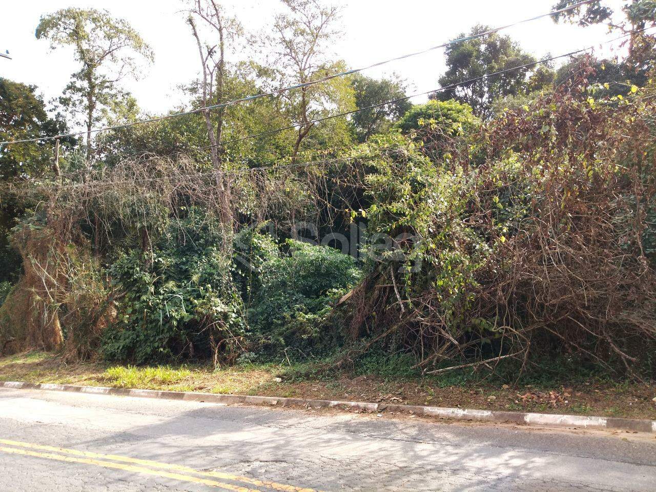 terreno à venda no Vista Alegre: 