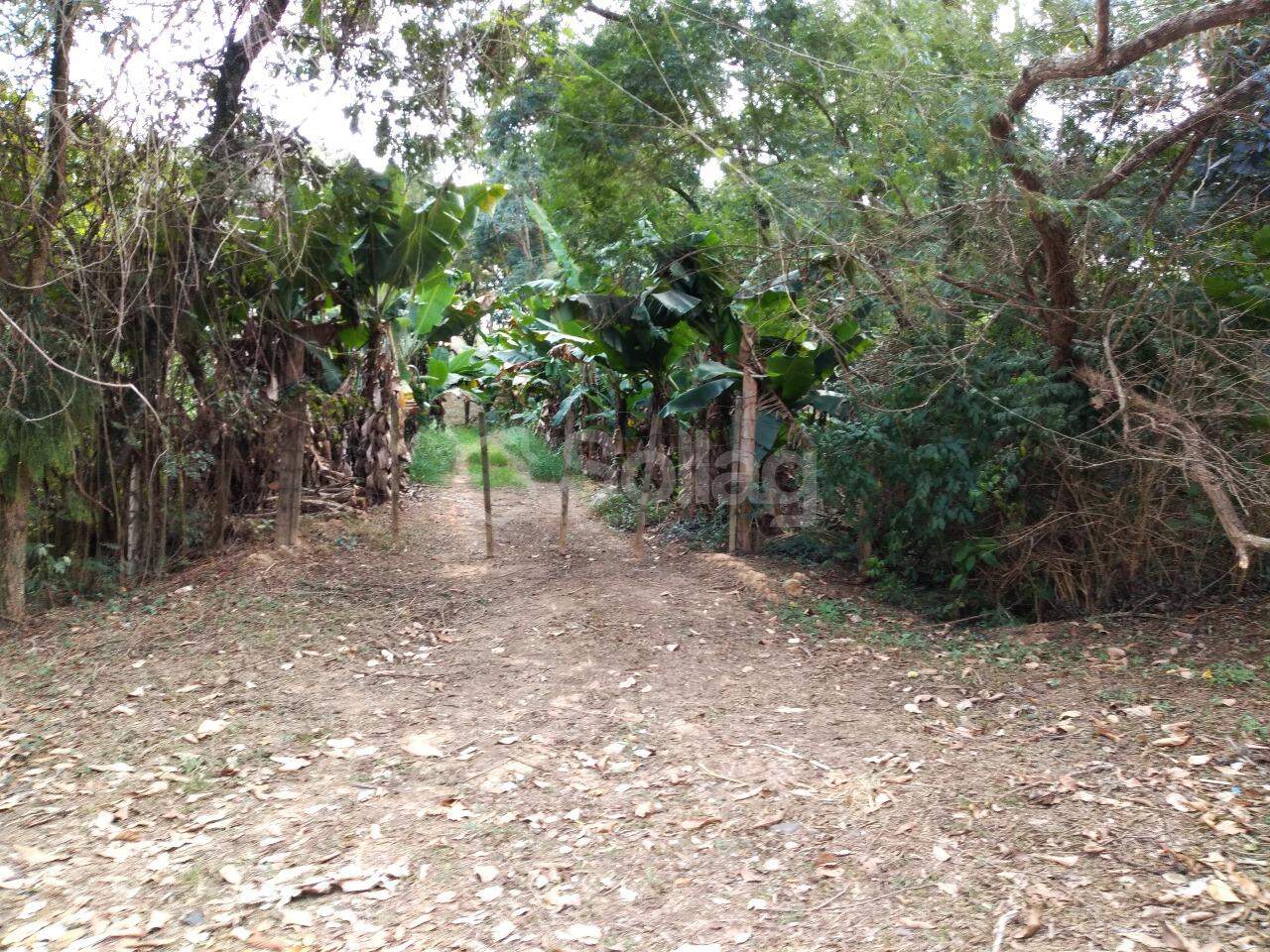 terreno à venda no Vista Alegre: 